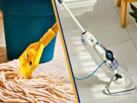 Steam Mop vs Traditional Mop