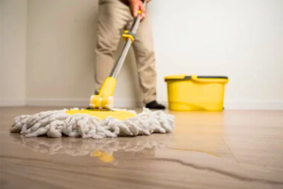 Traditional Mop