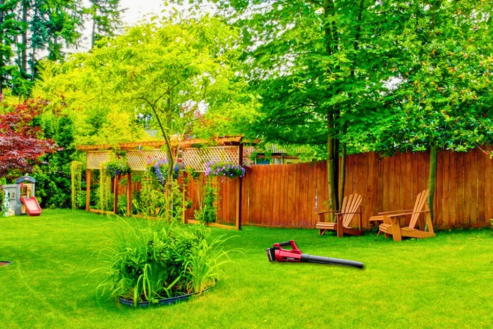 Determining Your Yard’s