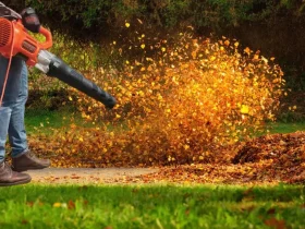 How to Choose Leaf Blower CFM