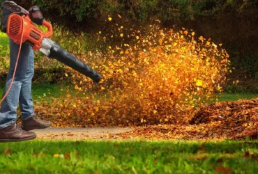 How to Choose Leaf Blower CFM