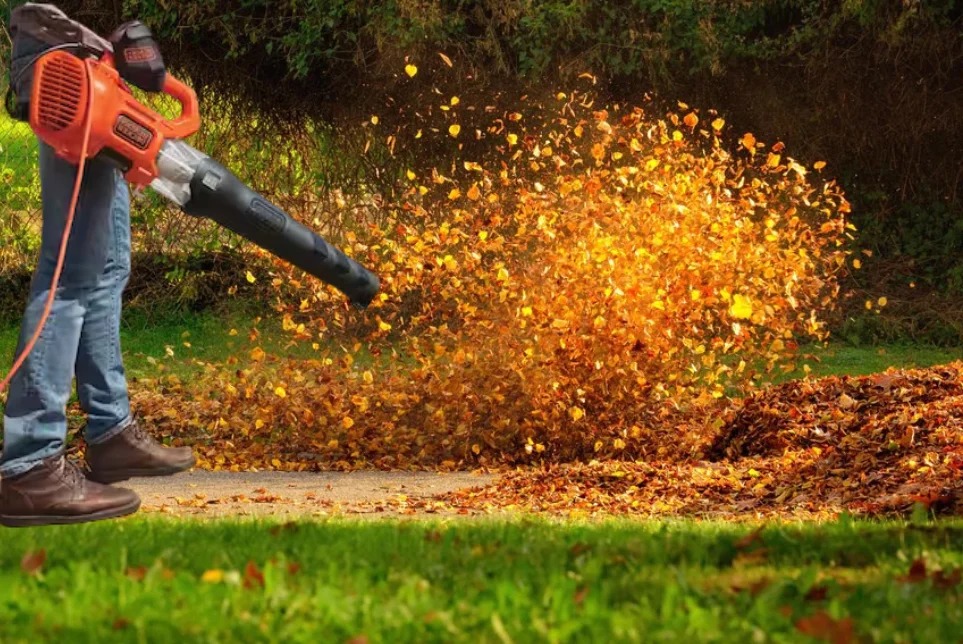 How to Choose Leaf Blower CFM