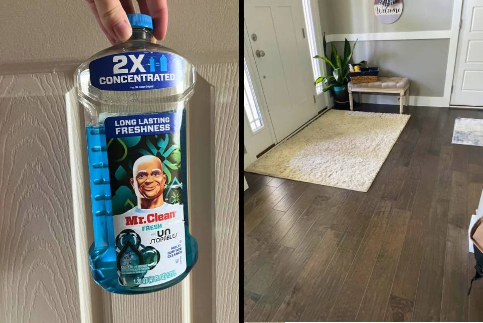 Mr. Clean All Purpose Cleaner, Floor Cleaner