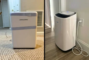 Showing the Best Home Dehumidifiers