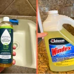 showing the Best Surface Disinfectants and Cleaners
