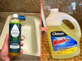 showing the Best Surface Disinfectants and Cleaners
