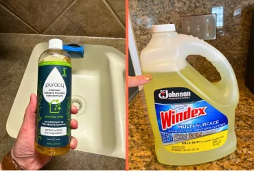 showing the Best Surface Disinfectants and Cleaners